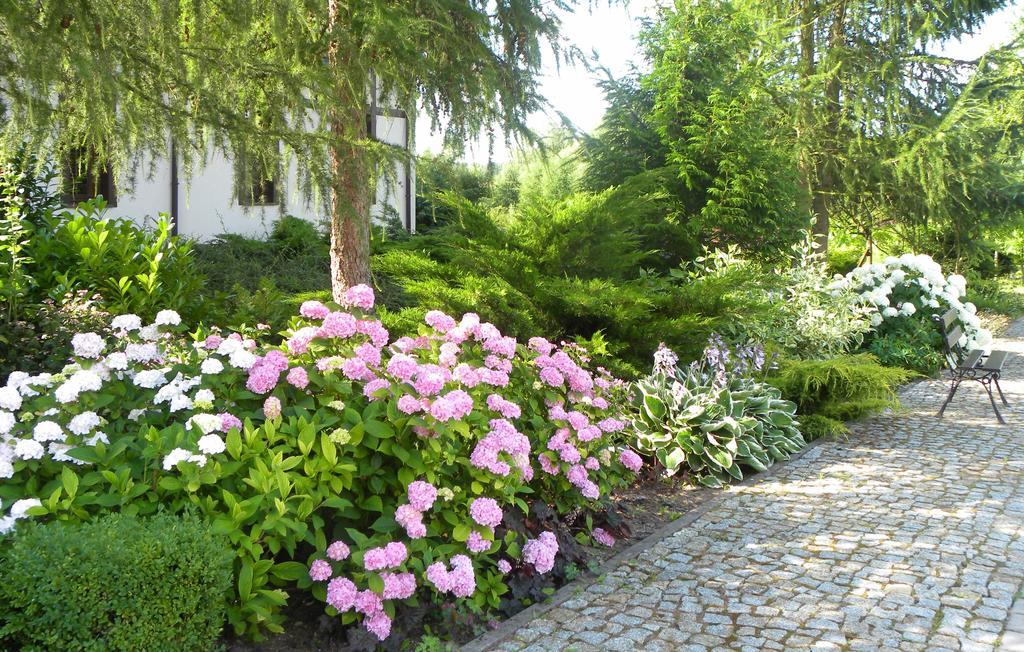 Villa Orlik Барлинек Экстерьер фото